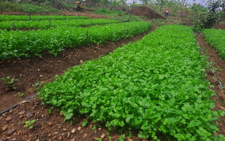 Empaer sao francisco agricultura s jose de piranhas 2.jpg
