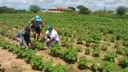 cajaeirinhas2 24 07.jpg