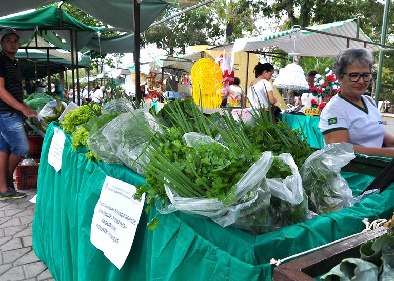 11_12_19 Agricultores mostram potencialidades do campo (1).JPG