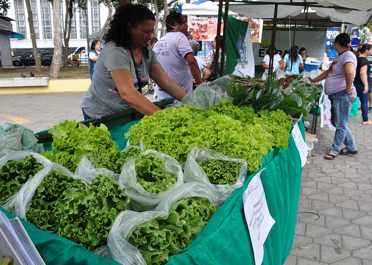 11_12_19 Agricultores mostram potencialidades do campo (2).JPG