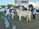 PREMIO GUZERÁ. 3 28-05.jpg