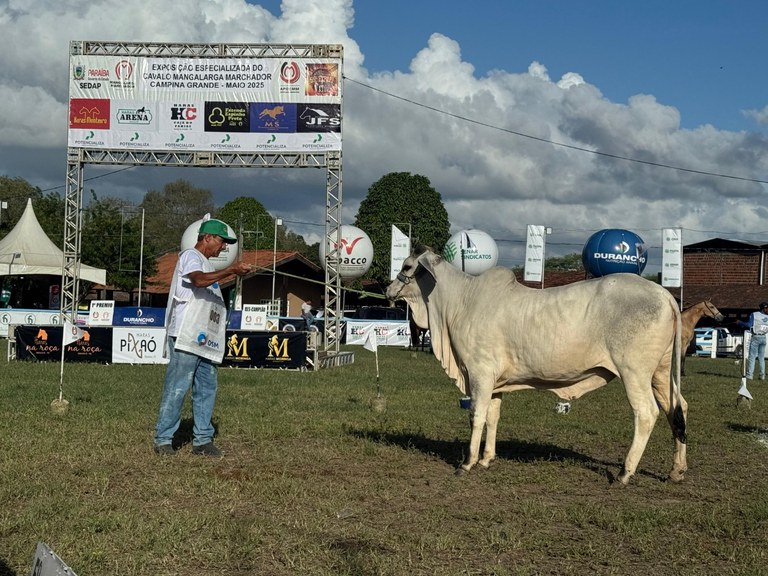 PREMIO GUZERÁ.4 28-05.jpg