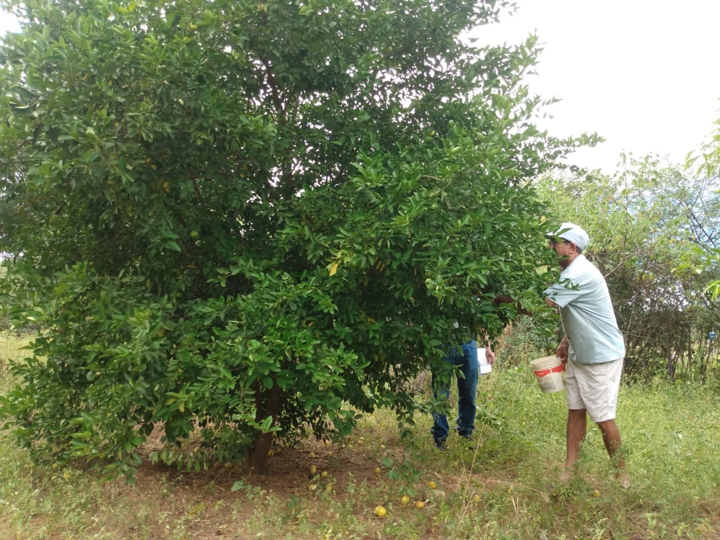 WhatsApp Image 2023-06-02 at 15.59.33 (1).jpeg