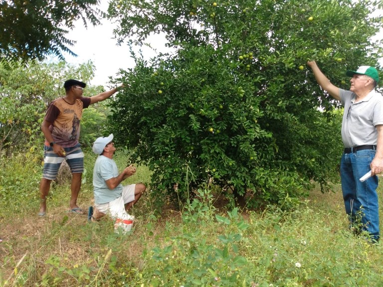 WhatsApp Image 2023-06-02 at 15.59.33 (2).jpeg