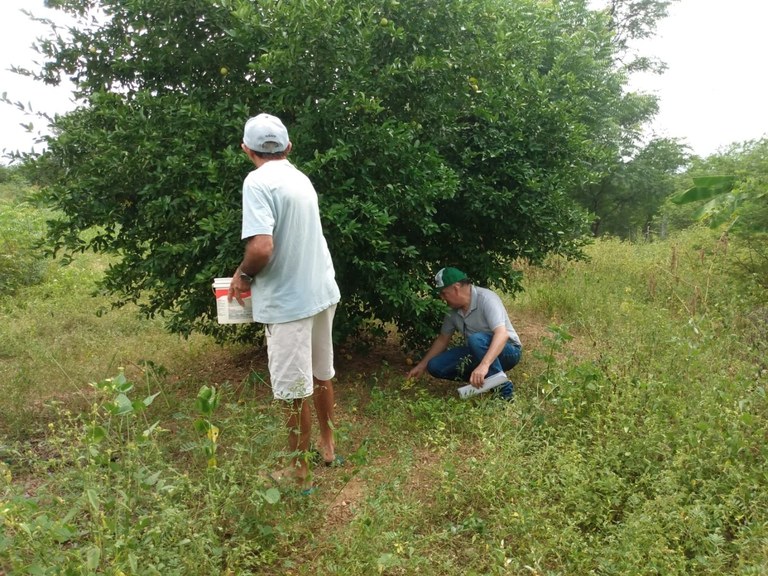 WhatsApp Image 2023-06-02 at 15.59.33.jpeg