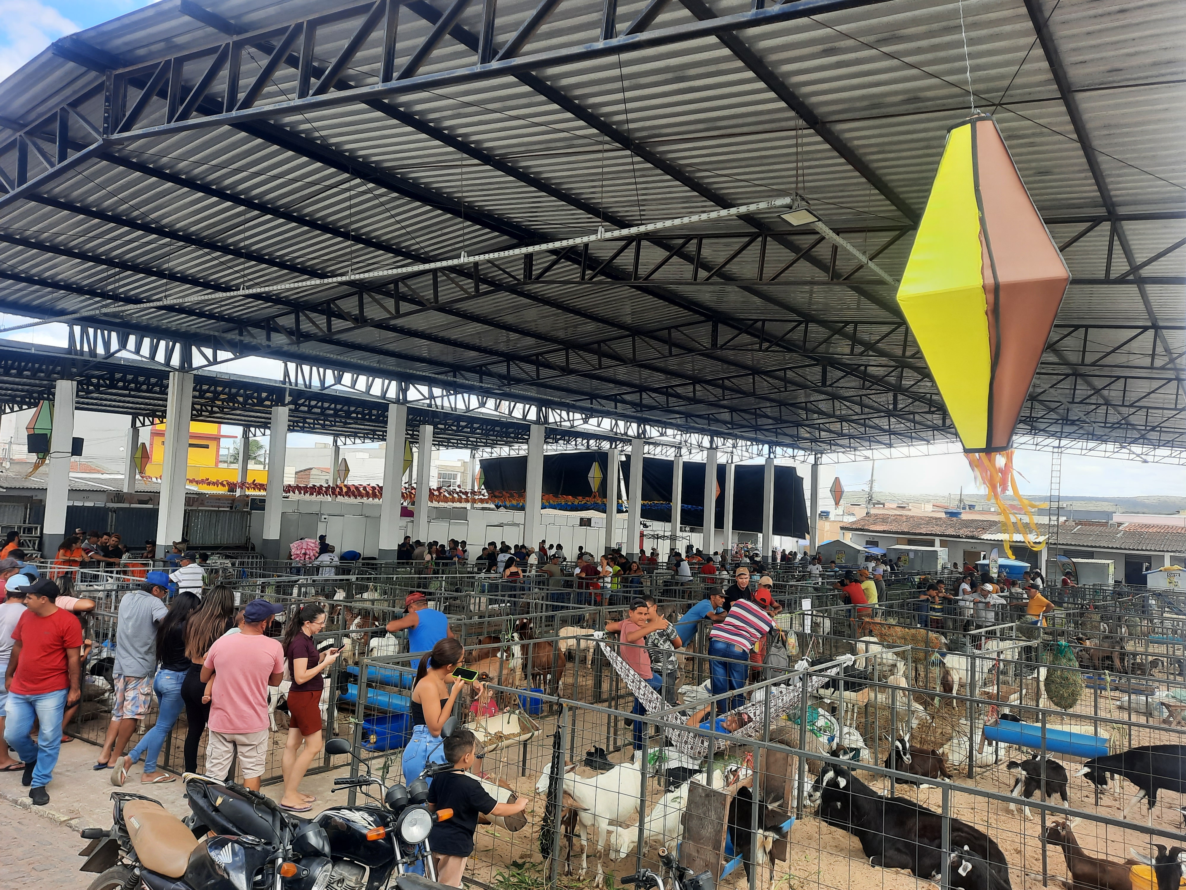 Exposição de animais na Caprifeira.jpg