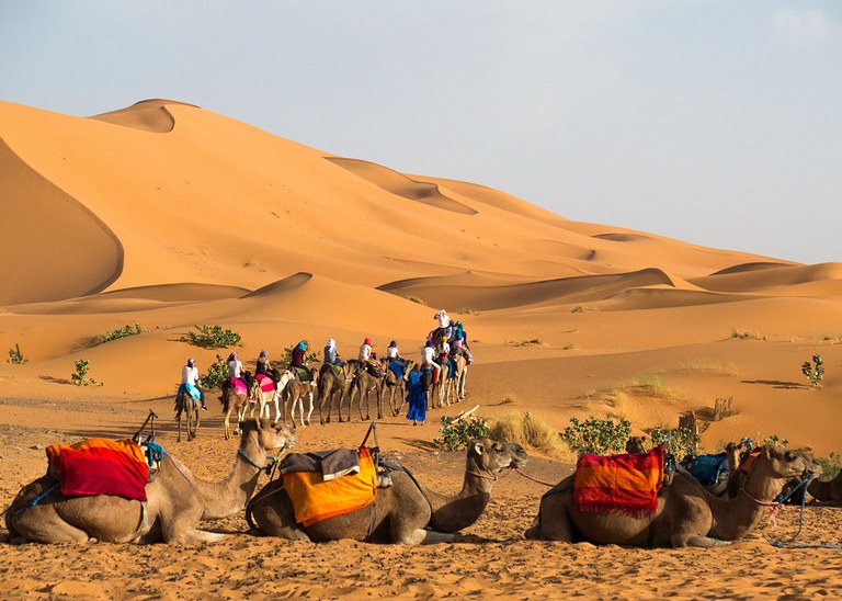 Erg Chebbi-6916 (1).jpg