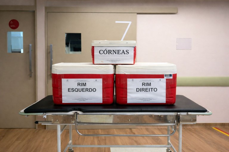 WhatsApp Image 2026-02-08 at 17.21.55.jpeg