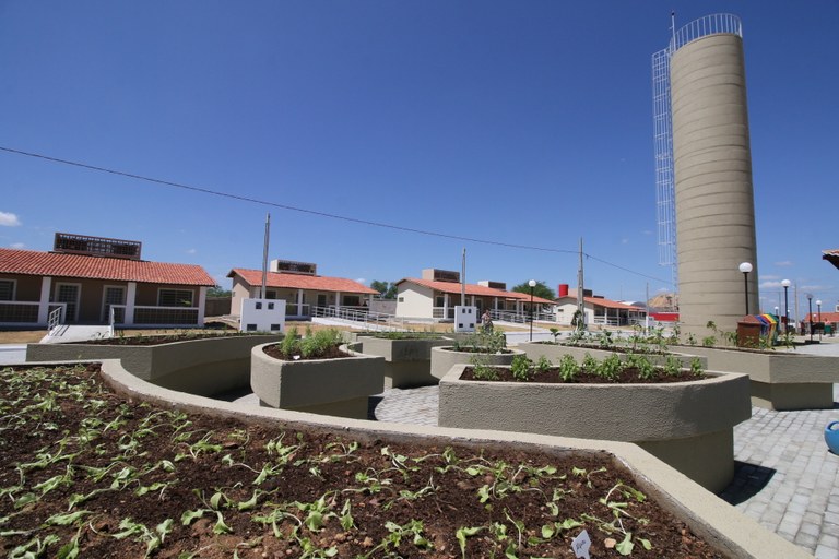 cidade madura-patos1-foto Francisco França.JPG cidade madura-patos1-foto Francisco França.JPG