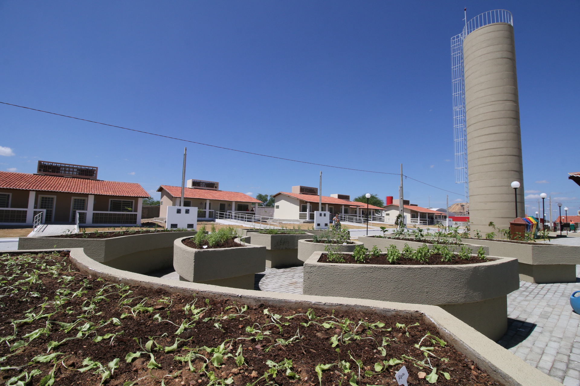 cidade madura-patos1-foto Francisco França.JPG