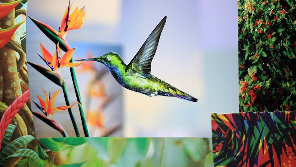 Fazenda Rosa - Chia Beloto.jpg