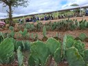 2o Dia de Campo - Cultivo de palma  -.jpeg