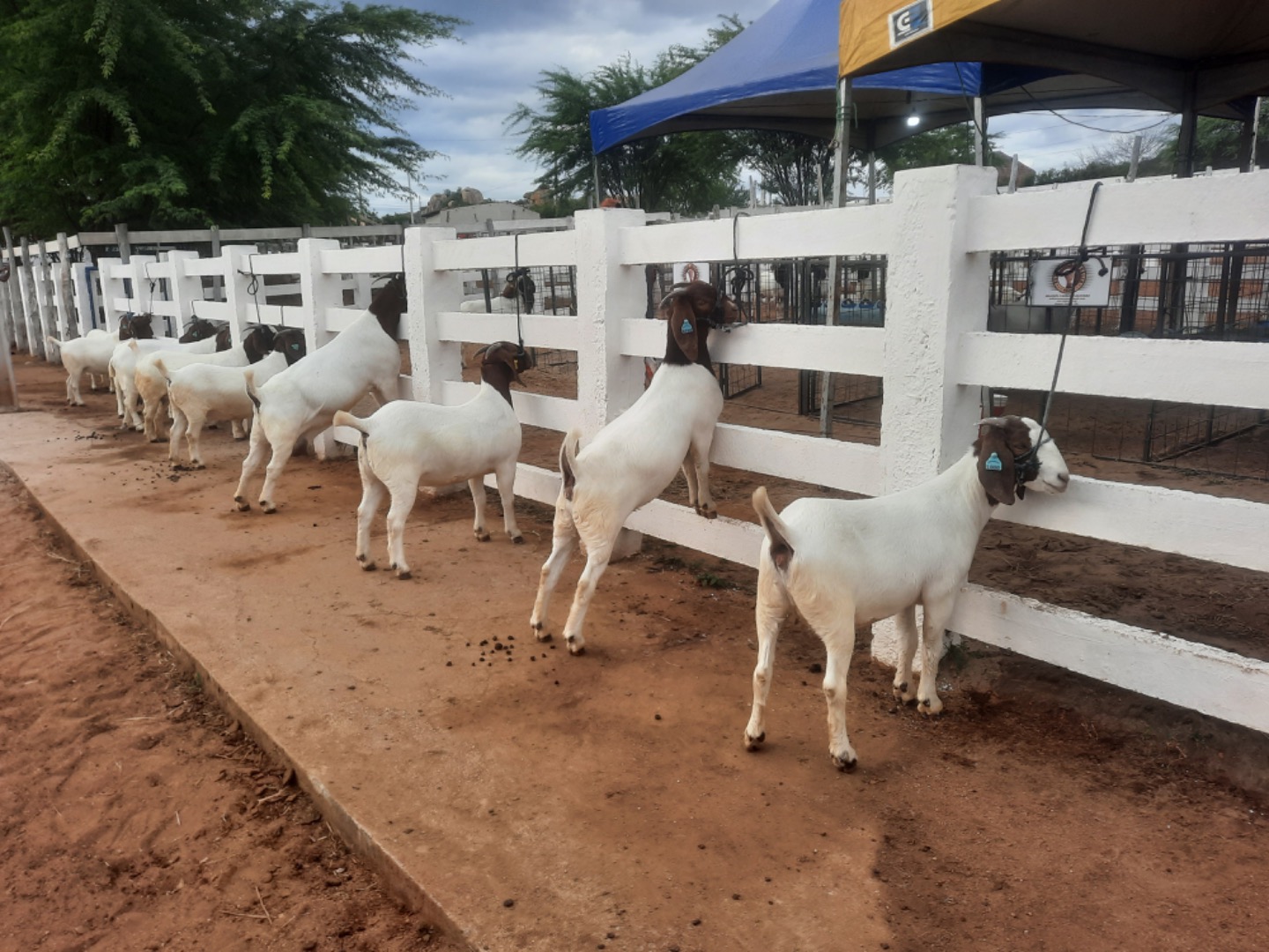 20250329_161218 (1).jpg