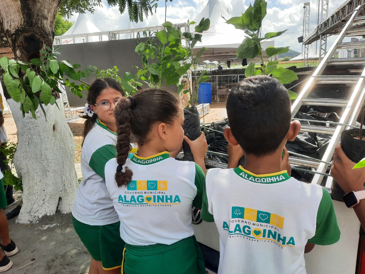 Crianças ganharam mudas de árvores.jpg