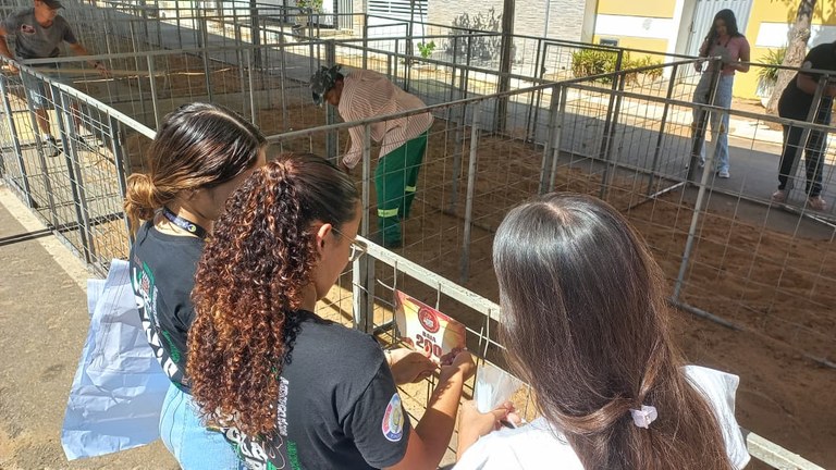 Expo Prata 2025 - Montagem.jpeg