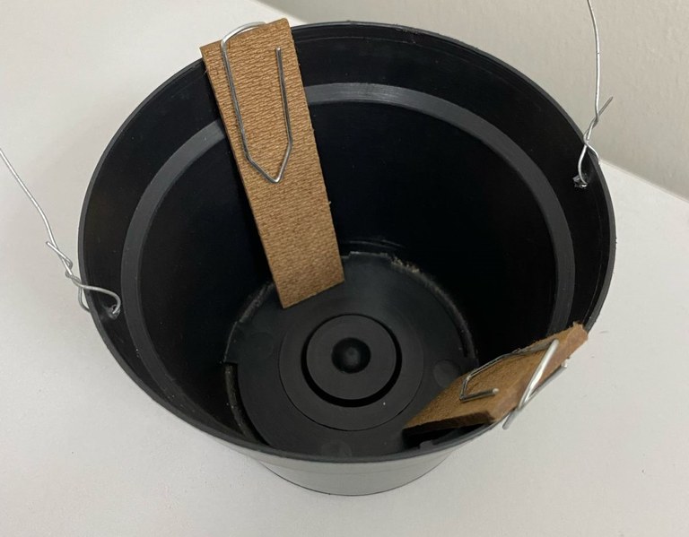 WhatsApp Image 2024-03-05 at 13.21.04 (1).jpeg