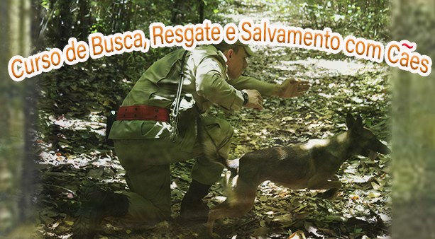 Lamina-CBRESC.jpg
