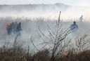 bombeiros-prevenção-de-incendios-em-vegetacao-1.jpg