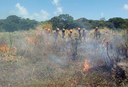bombeiros-prevenção-de-incendios-em-vegetacao-2.jpg