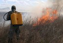 bombeiros-prevenção-de-incendios-em-vegetacao-3.jpg