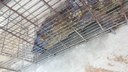 IMG-20180310-WA0003.jpg