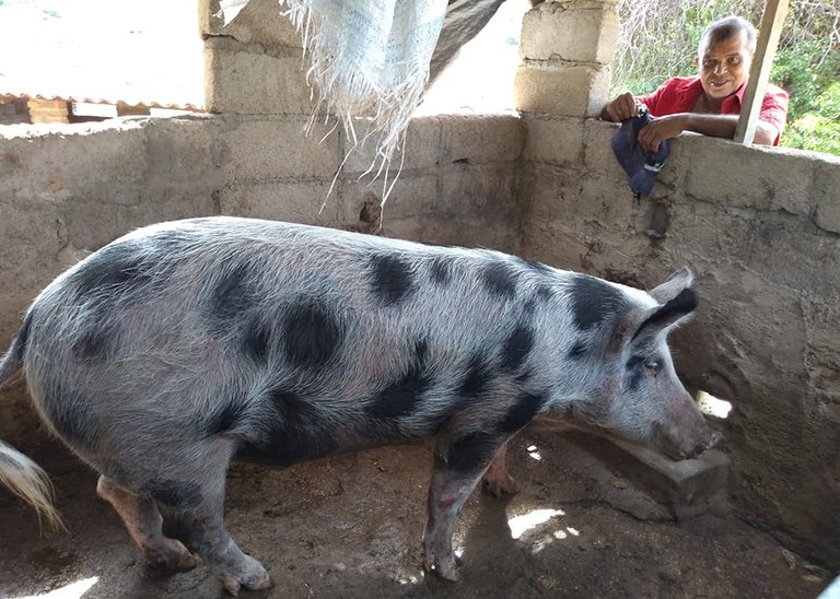 26_06_19 Família em Mãe D’Água ganha o sustento cultivando coentro (5).jpg