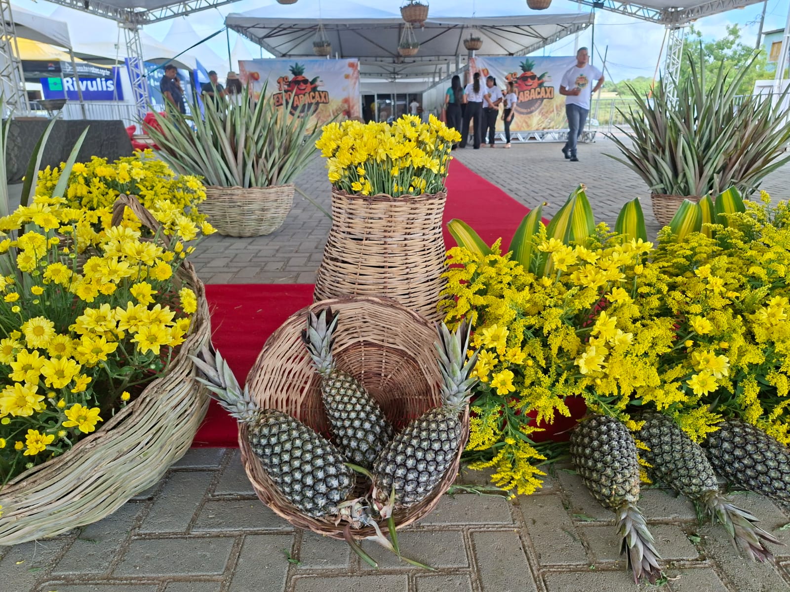 Expo Abacaxi - Itapororoca 1.jpeg
