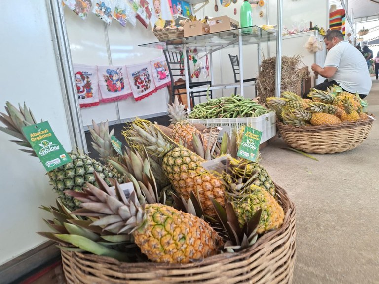 Expo Abacaxi - Itapororoca 5.jpeg