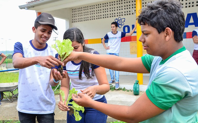 seect curso de agropecuaria na escola tecnica de alogoinha foto delmer rodrigues (1).jpg