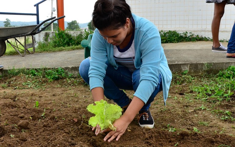 seect curso de agropecuaria na escola tecnica de alogoinha foto delmer rodrigues (5).jpg