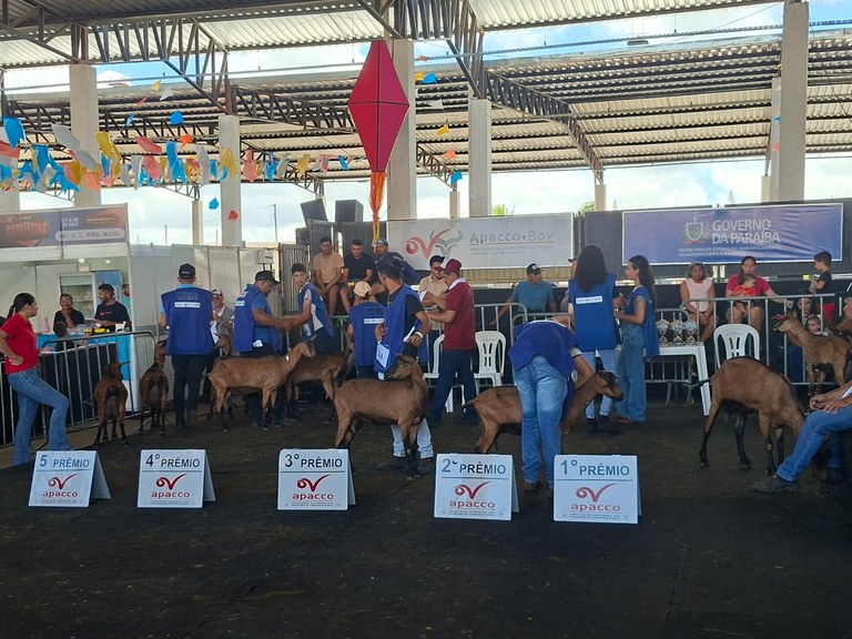 Caprifeira Barra de Santa Rosa.jpg