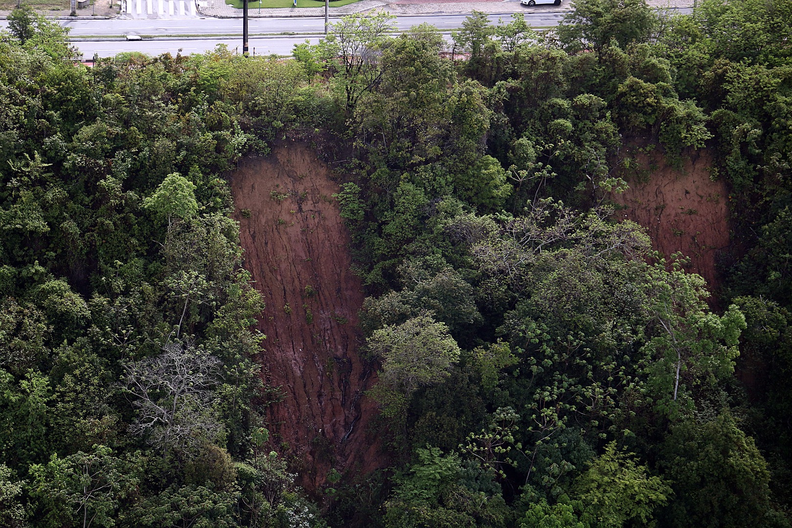 Area de Rsica Barreira Cabo Branco Mata Foto Francisco França (4).JPG