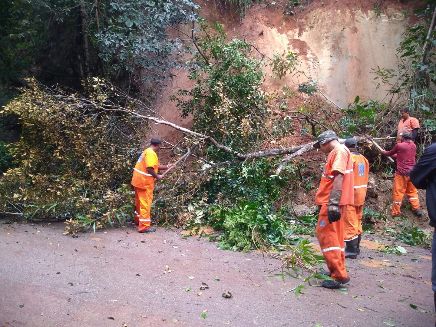 WhatsApp Image 2022-07-07 at 19.57.58.jpeg