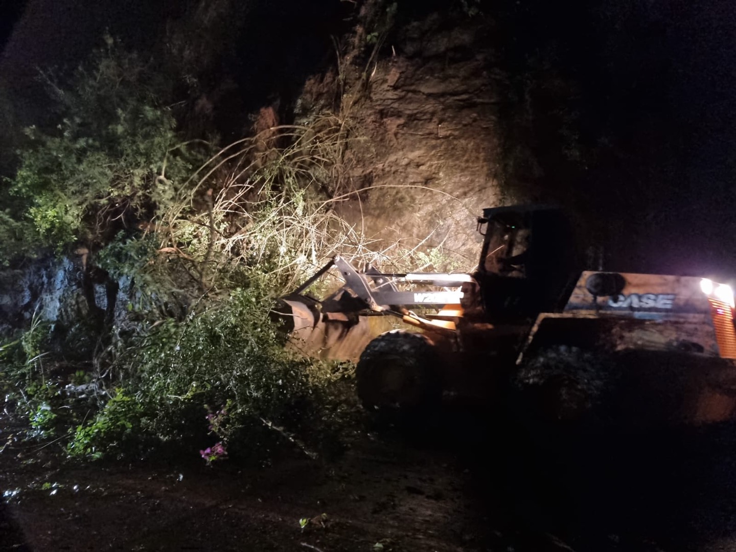 WhatsApp Image 2022-07-07 at 22.04.31.jpeg