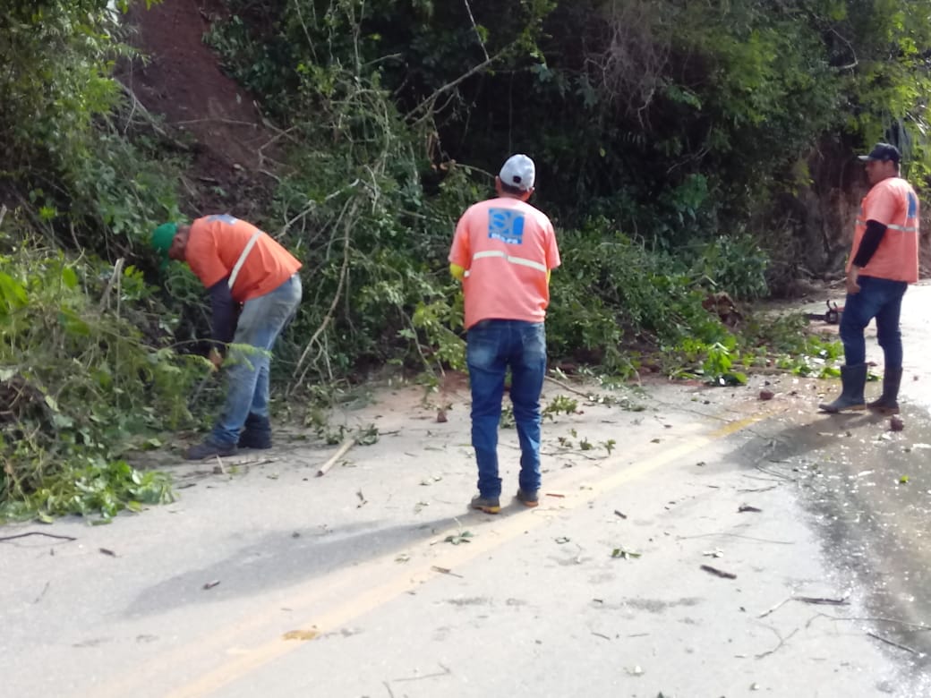 WhatsApp Image 2022-07-07 at 22.04.59.jpeg