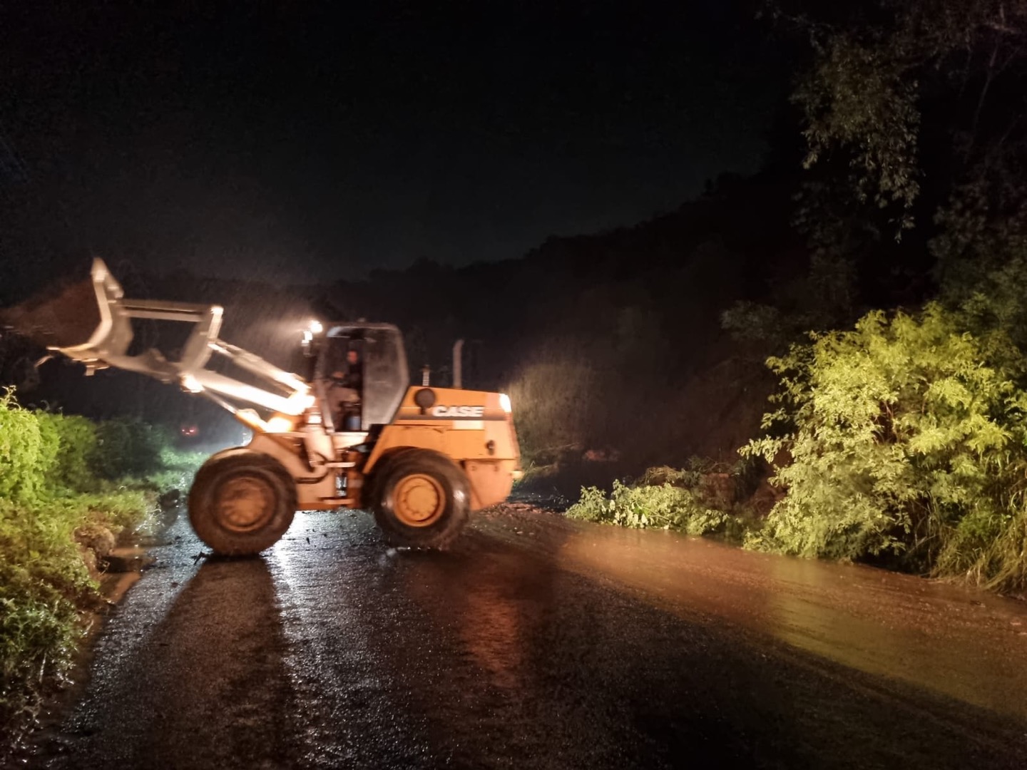 WhatsApp Image 2022-07-07 at 22.06.58.jpeg