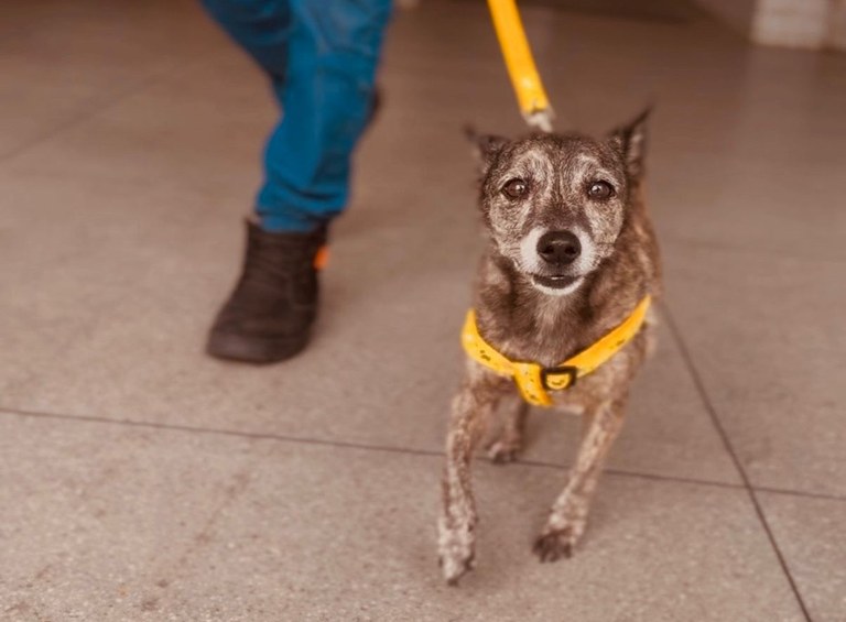 WhatsApp Image 2026-02-28 at 21.42.20 (1).jpeg