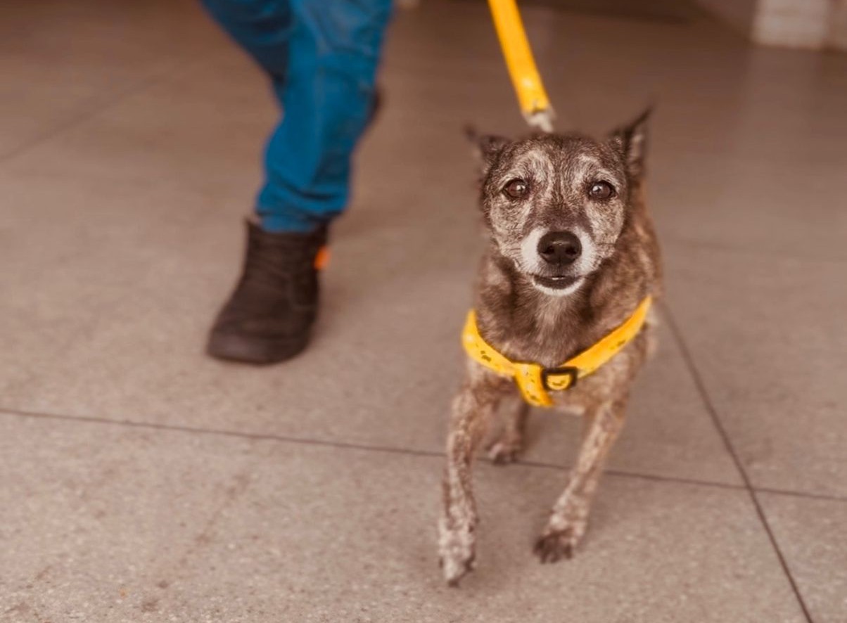 WhatsApp Image 2026-02-28 at 21.42.20 (1).jpeg