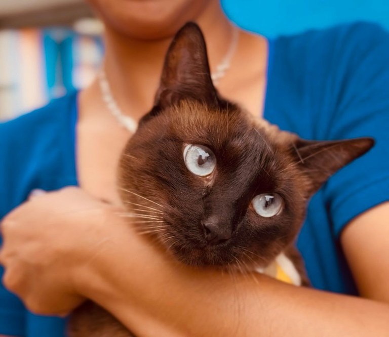 WhatsApp Image 2026-02-28 at 21.42.21 (2).jpeg