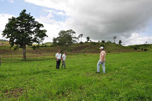 Alagoinha 22-2 (1).JPG