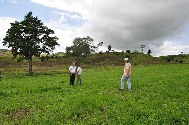 Alagoinha 22-2 (1).JPG