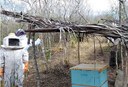 apiario-alagamar_ecoprodutivo-fortalece-a-agricultura-familiar-na-paraíba-1.jpg