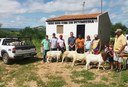 caprino-de-pitibira_ecoprodutivo-fortalece-a-agricultura-familiar-na-paraíba-3.jpg