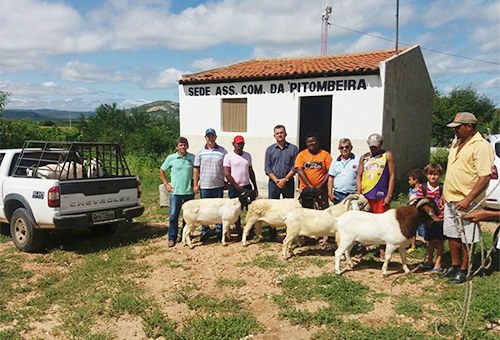 caprino-de-pitibira_ecoprodutivo-fortalece-a-agricultura-familiar-na-paraíba-3.jpg