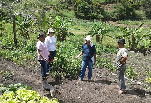 castro-bomfim_ecoprodutivo-fortalece-a-agricultura-familiar-na-paraíba-2.jpg