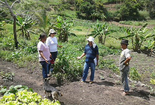 castro-bomfim_ecoprodutivo-fortalece-a-agricultura-familiar-na-paraíba-2.jpg
