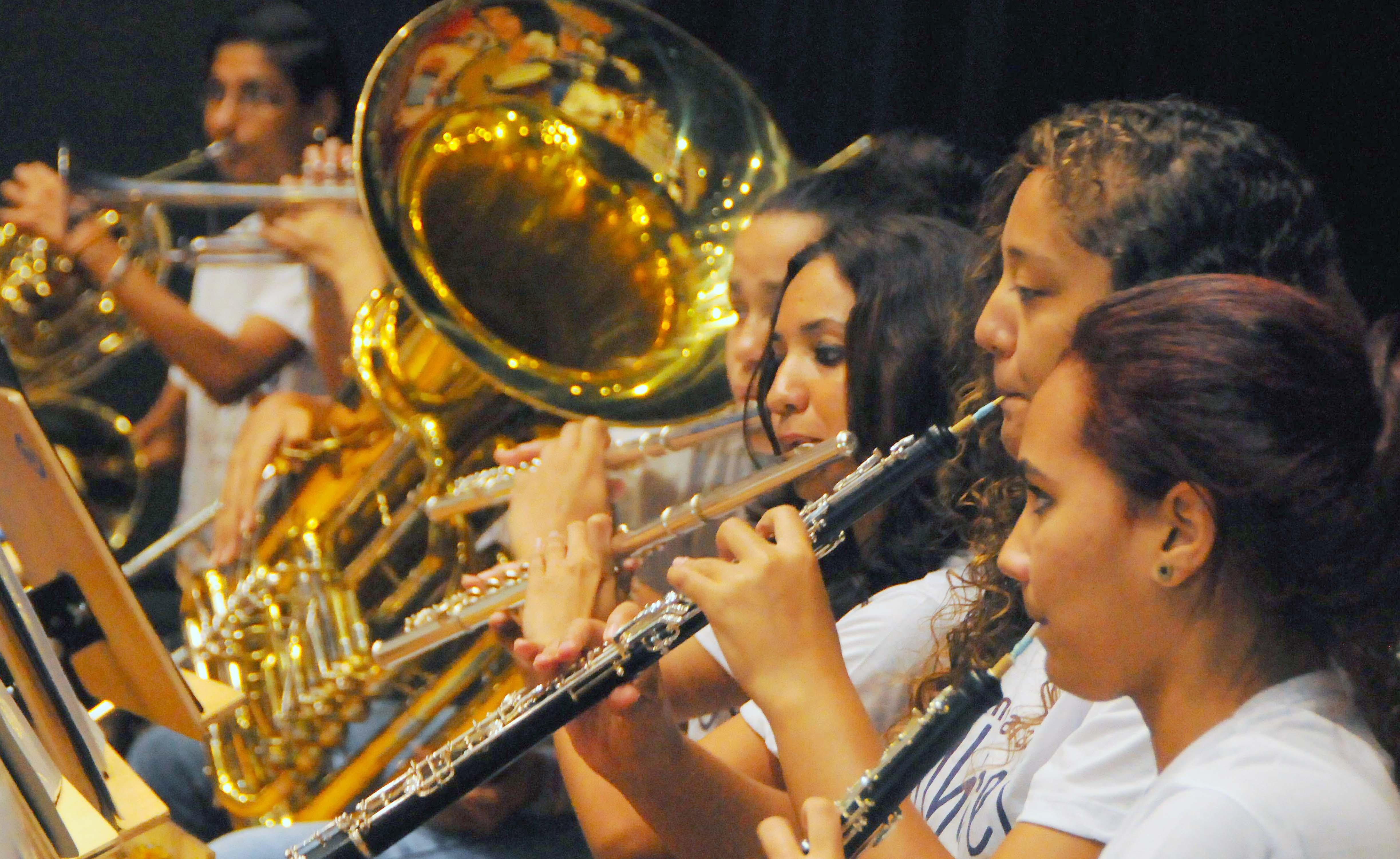 prima_foto jose marques (3).jpg