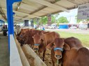 Exposição Empaer3 21-05.jpg