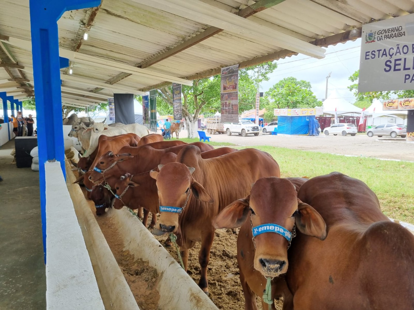 Exposição Empaer3 21-05.jpg