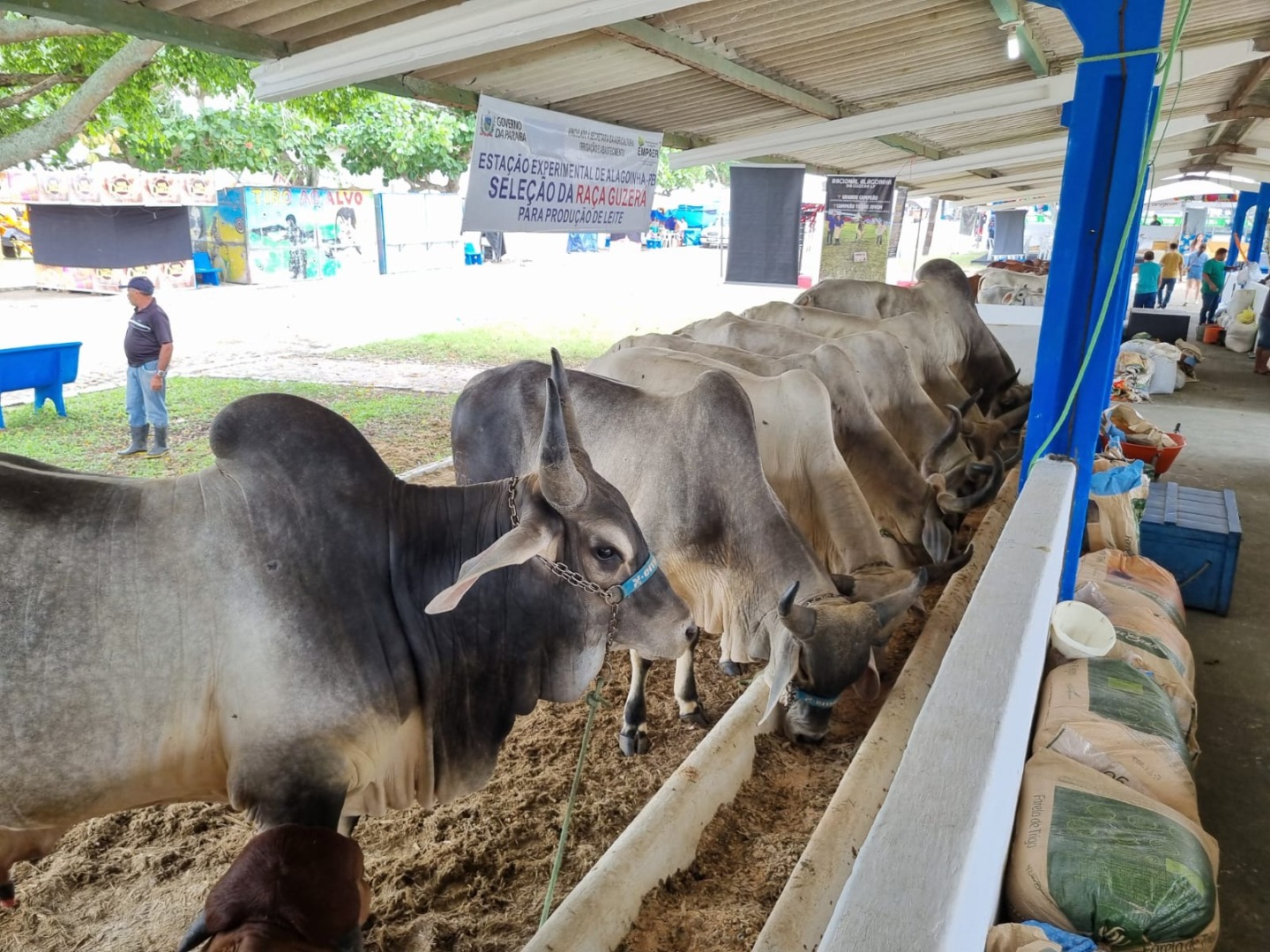 Exposição Empaer6 21-05.jpg